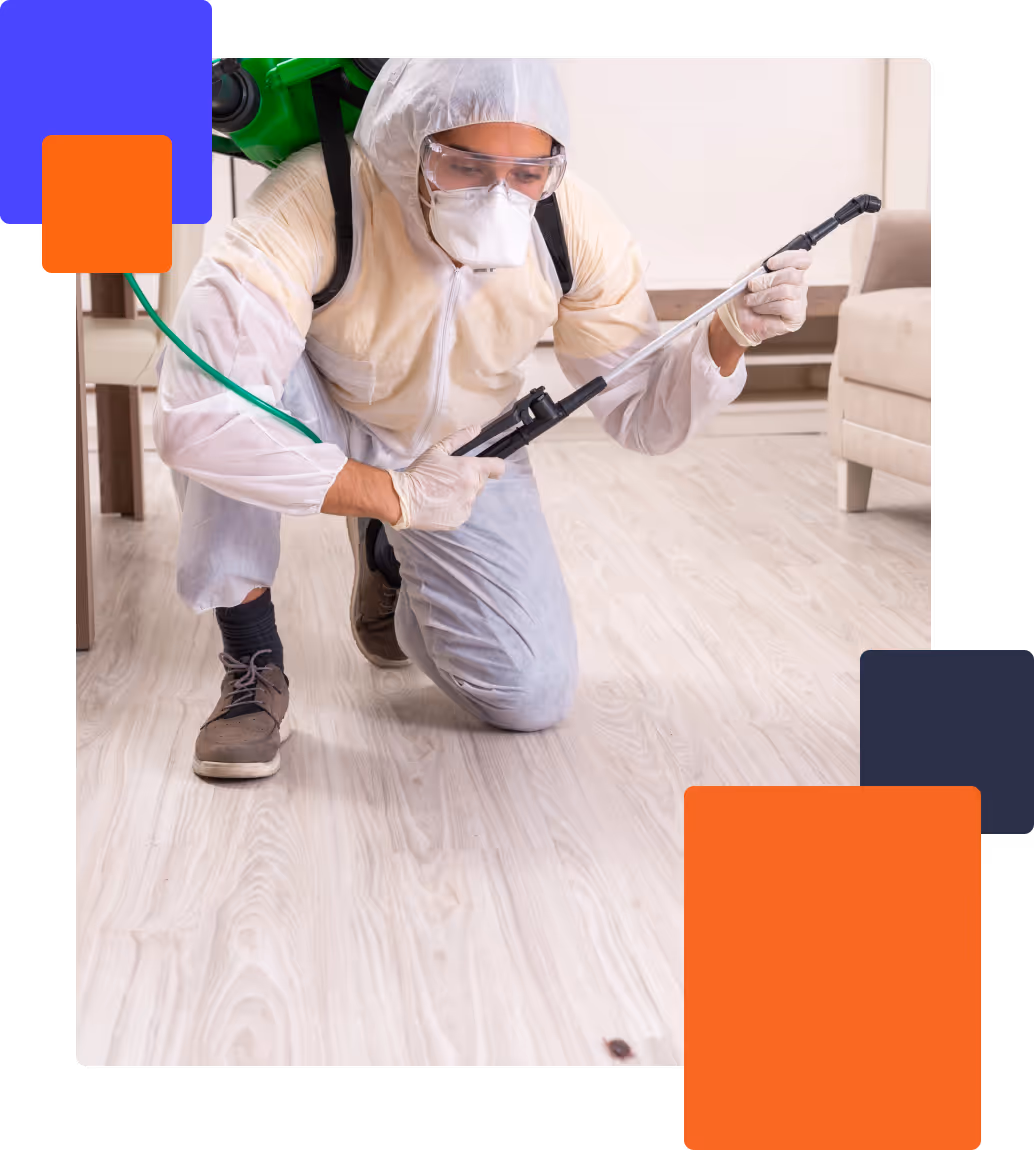 Tailored Pest Control Solutions