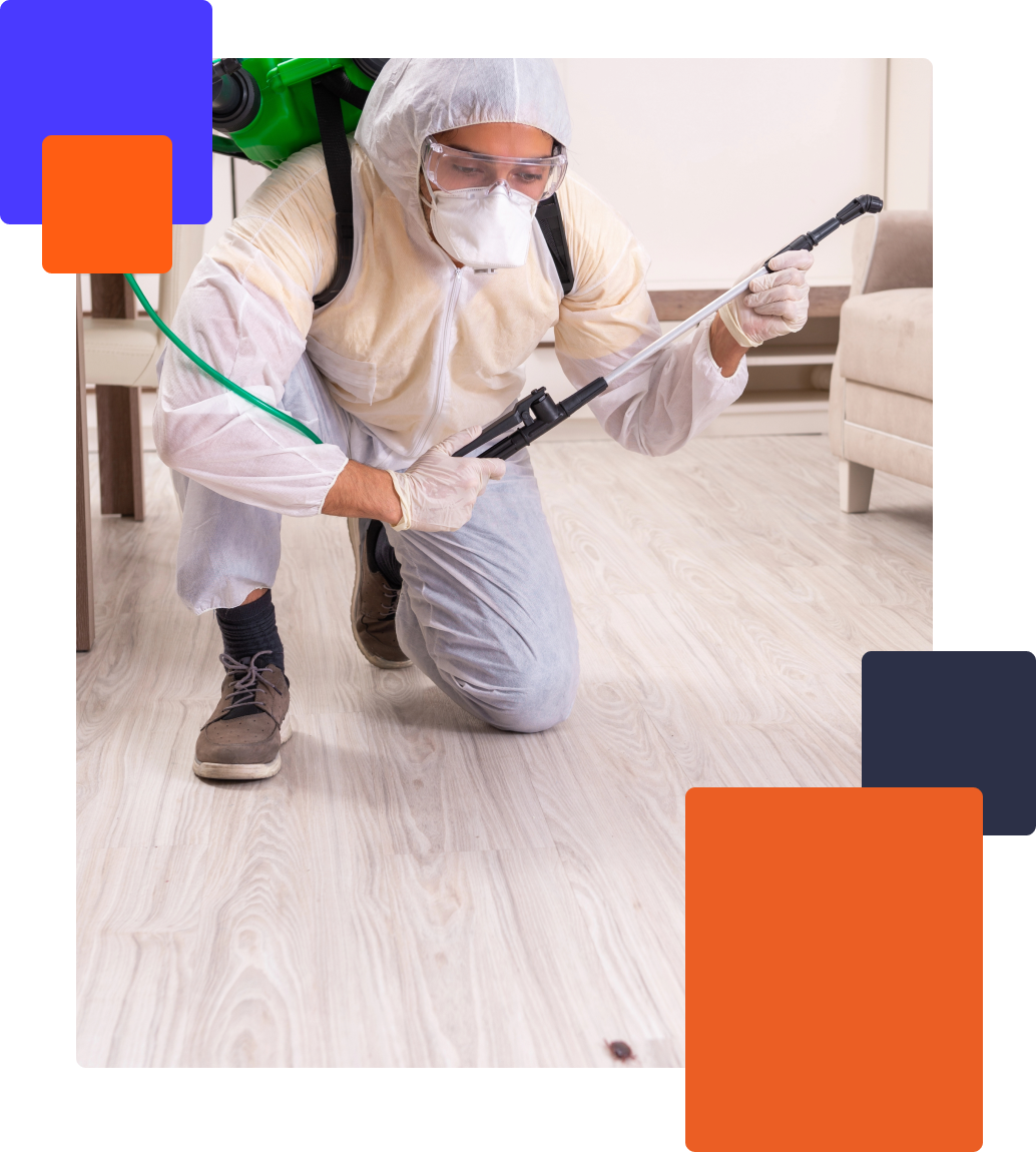 Tailored Pest Control Solutions