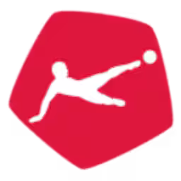 FC St. Gallen logo placeholder