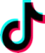 TikTok logo
