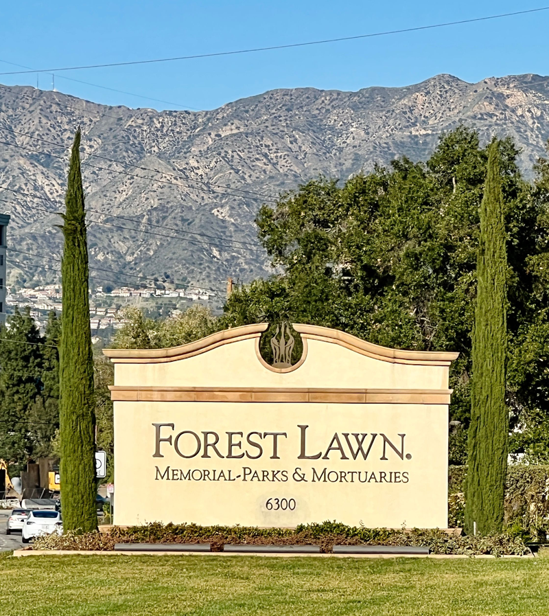Forest Lawns
