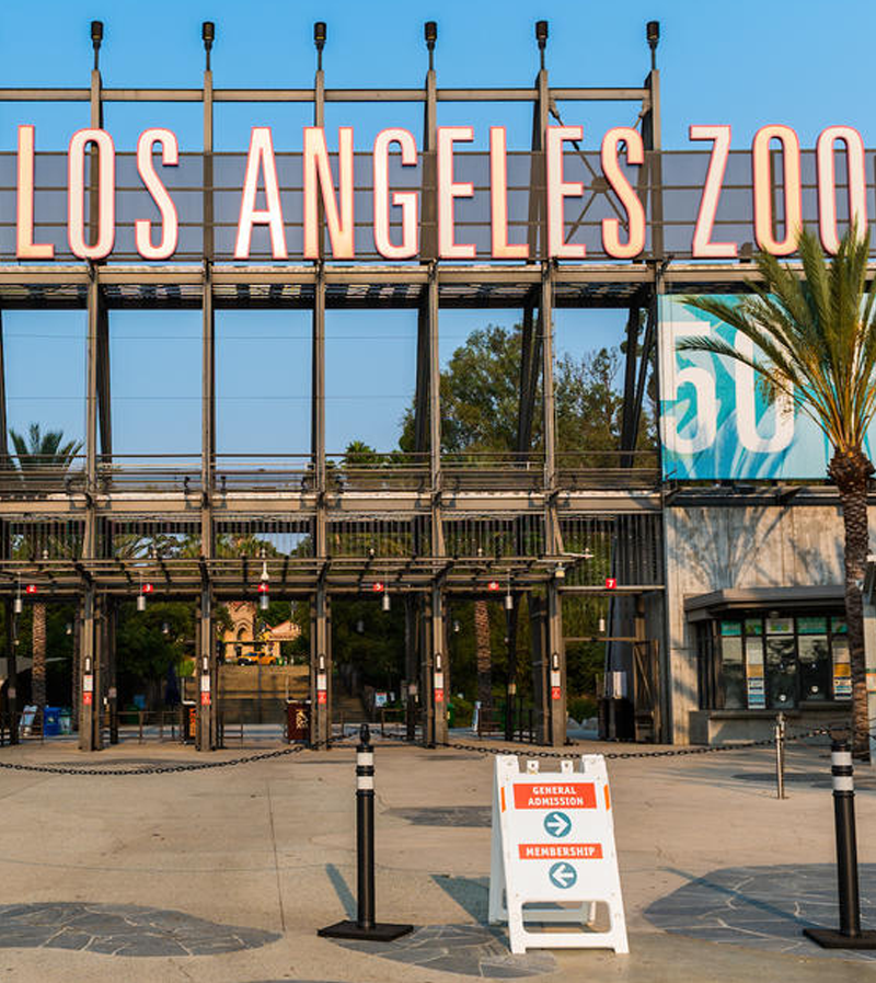 LA Zoo