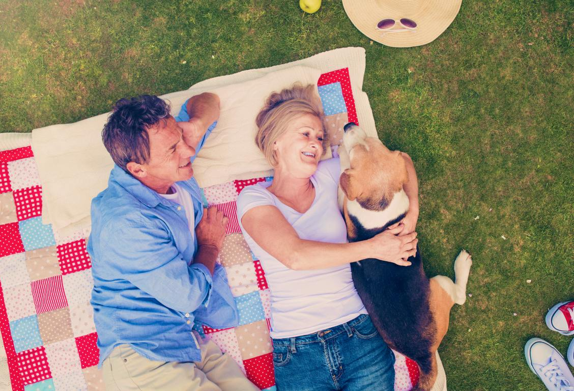 dog-friendly-backyard