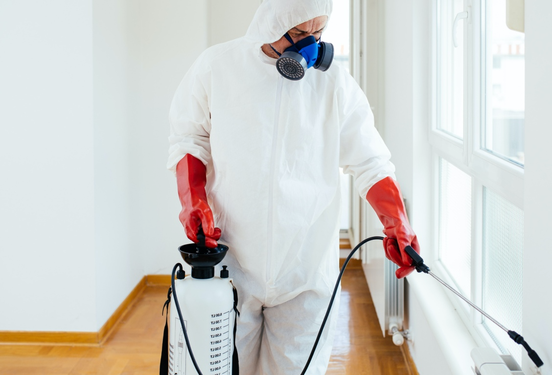 termite-repairs