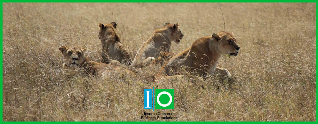 Becoming Lionesses: Women & Entrepreneurship in East Africa | Income Outcome