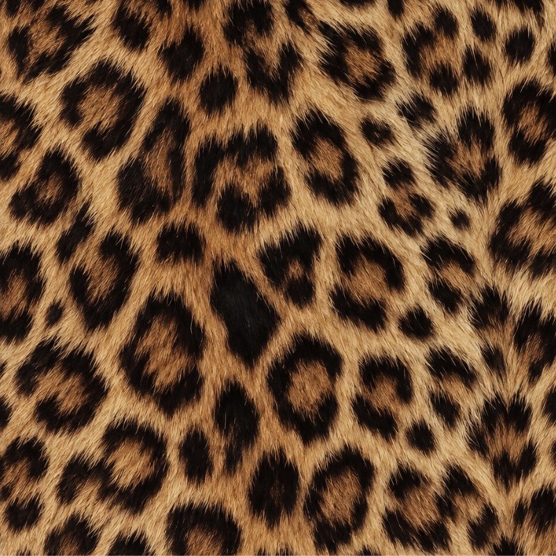 Leopard print