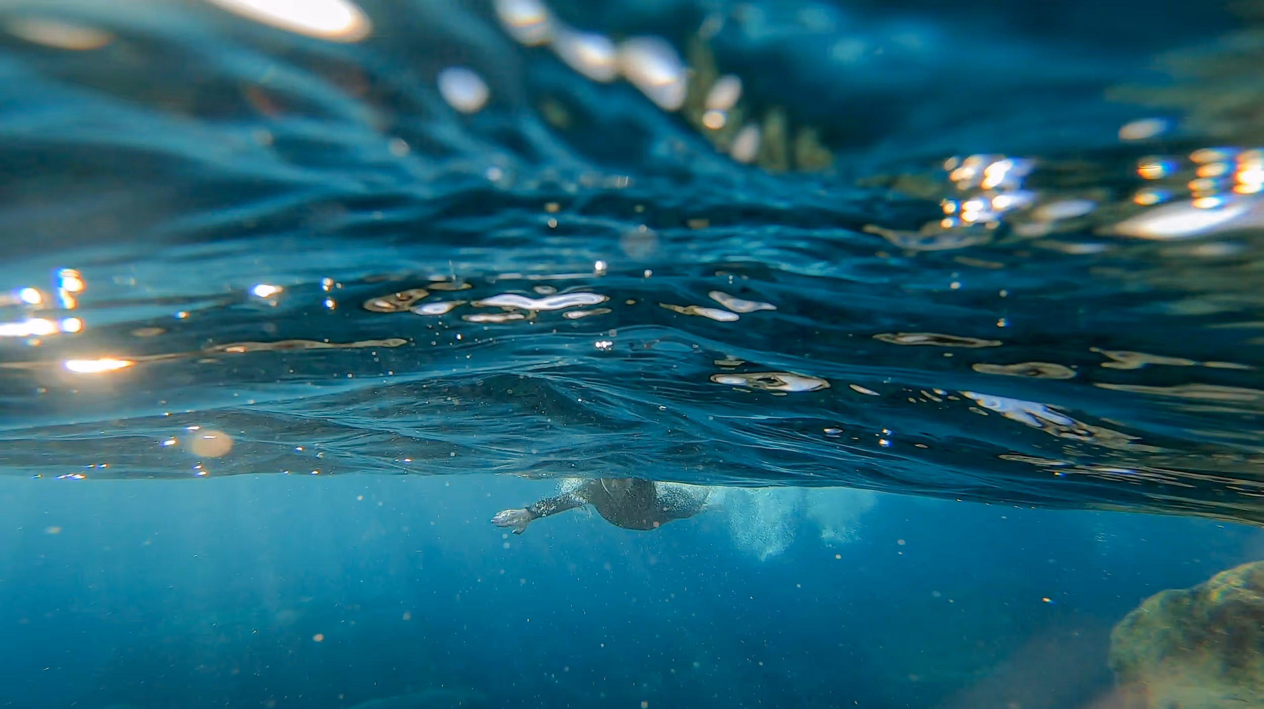 An underwater shot of a swimmer in the atlantic ocean