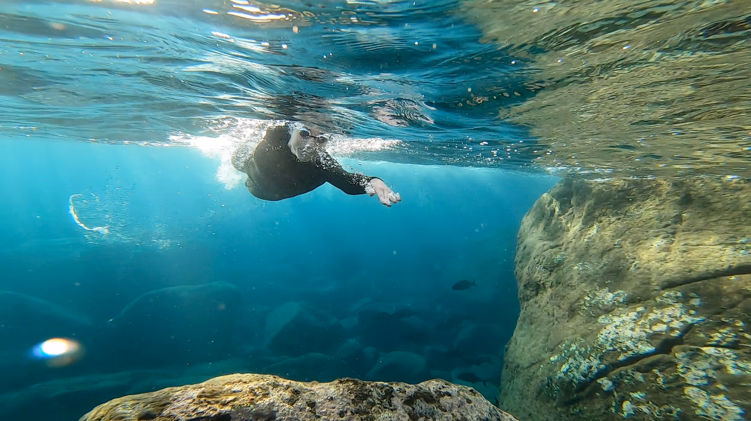 Person swimming underwater near large rocks and fish in clear blue water.