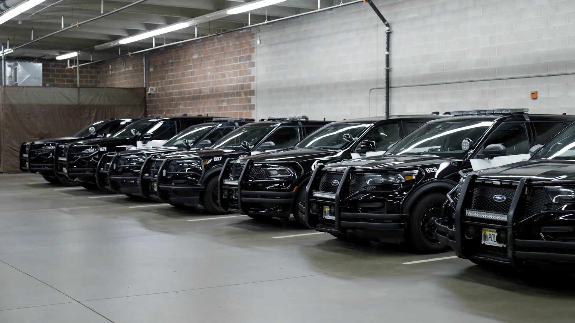 Police cars