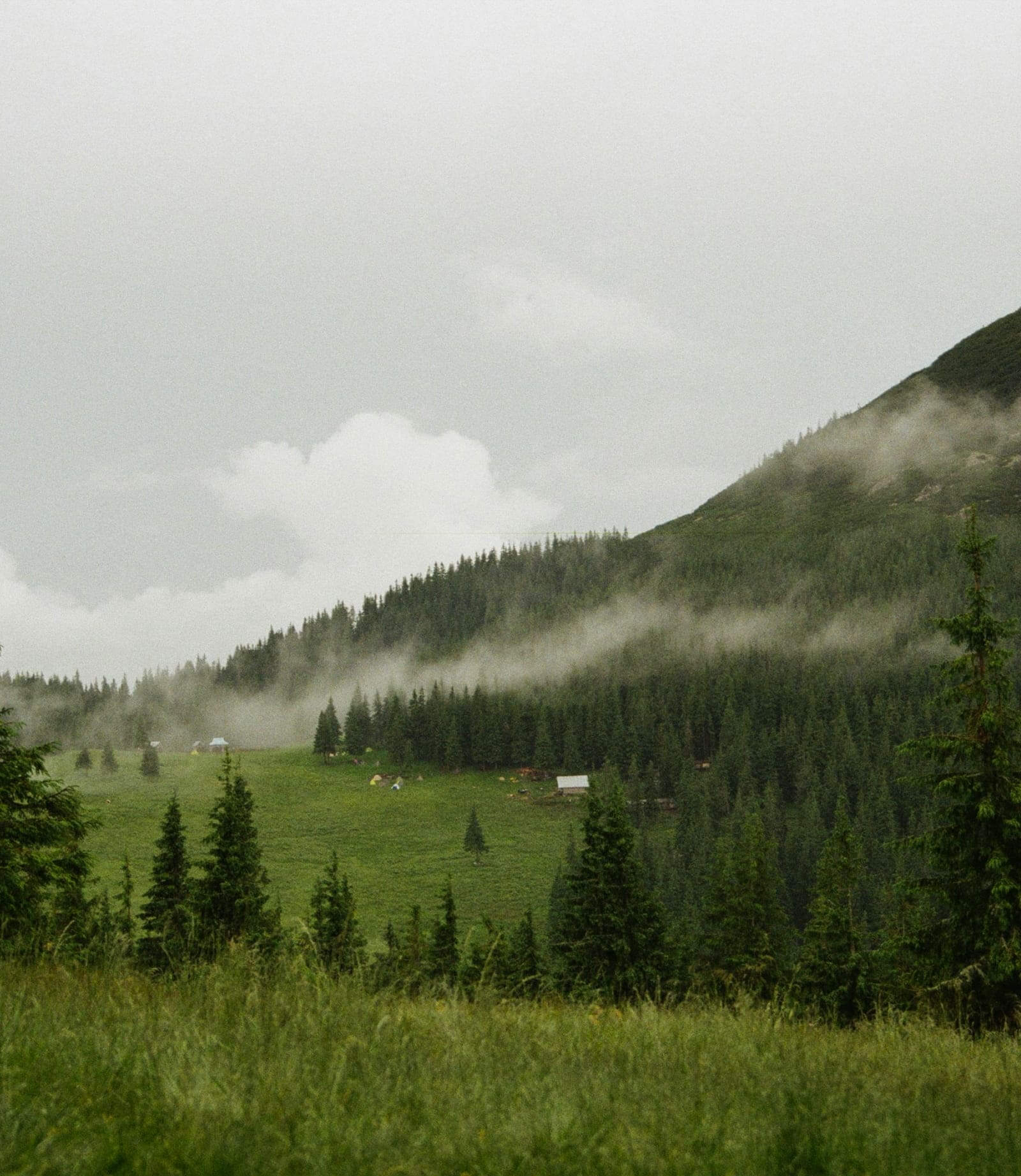 Типи нерузомості