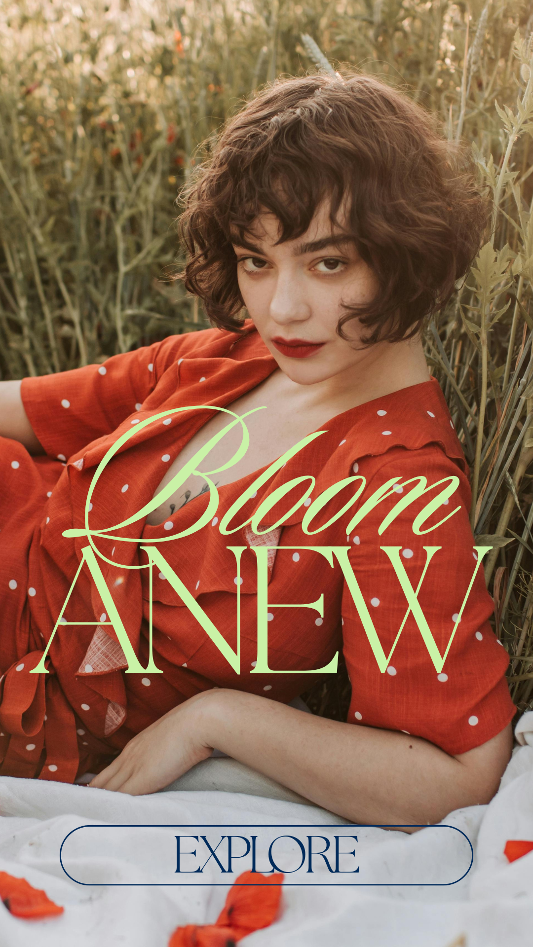 2024 black friday gift card