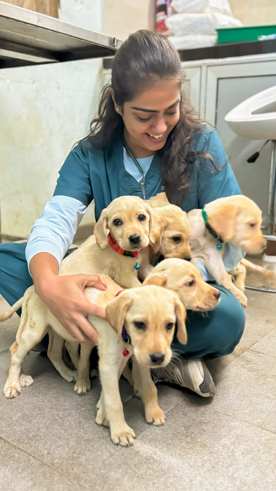veterinarians image