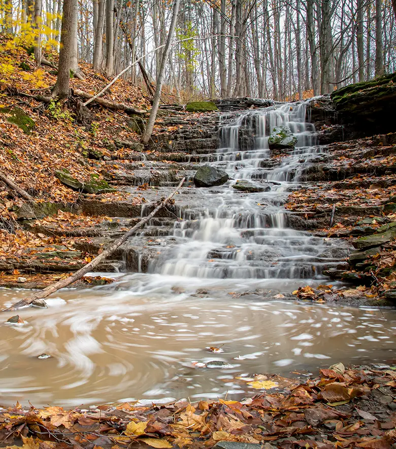Scout Falls, Short Hills Provincial Park