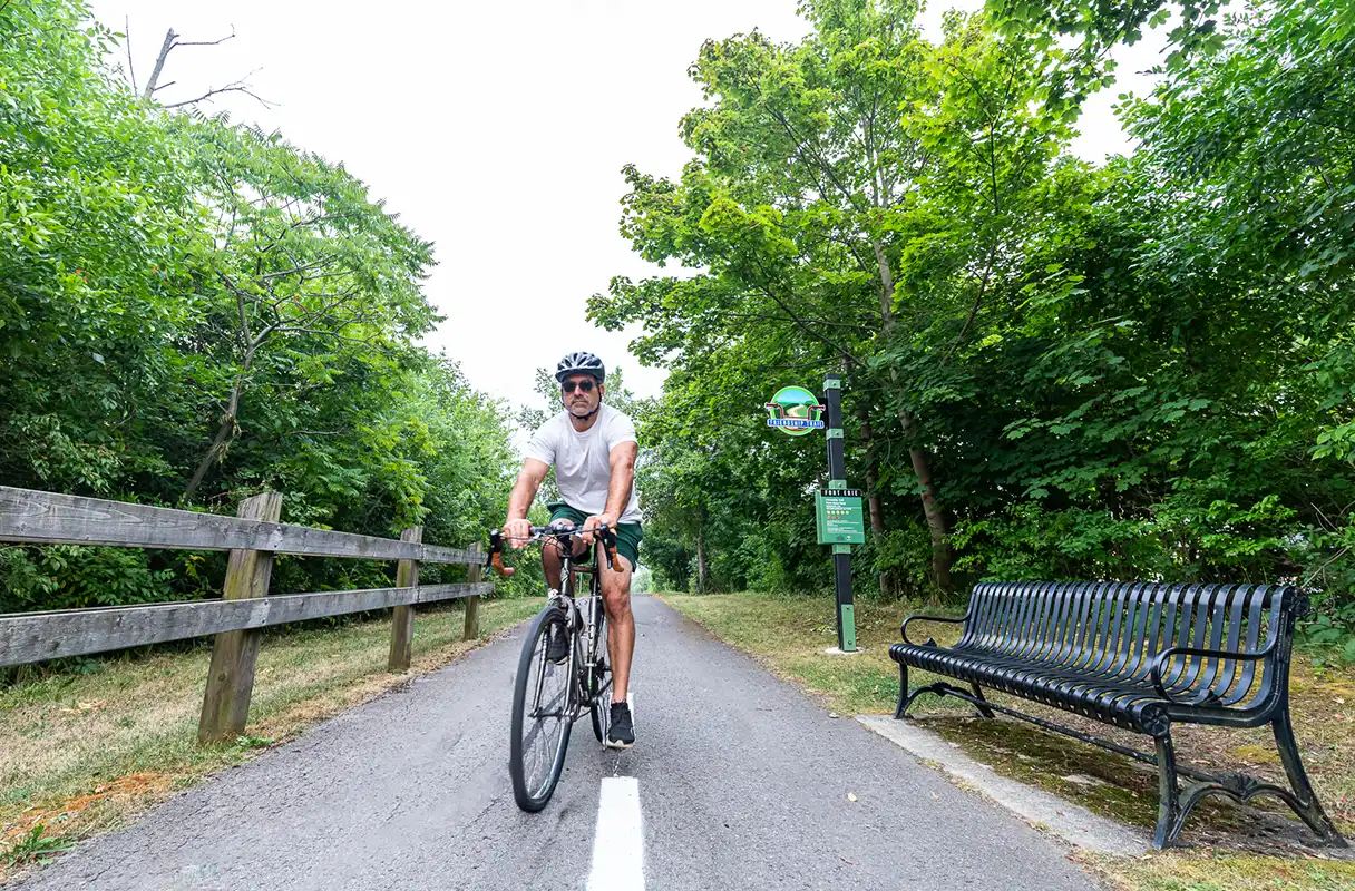 Popular Experiences in Niagara's South Coast