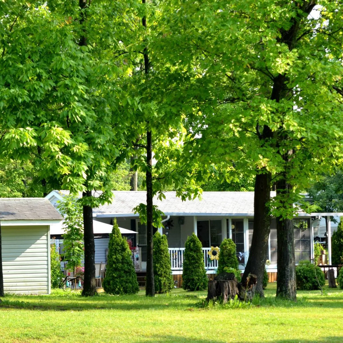 NET Camping Resort