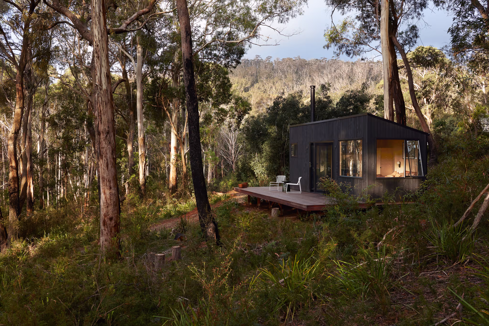 tall tiny house tucked away in the bush on a sunny day