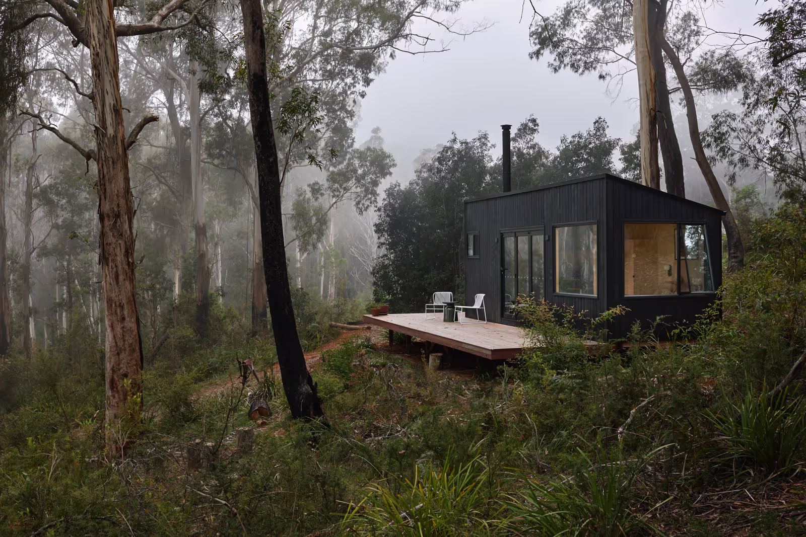 tall tiny house tucked away in the bush on a foggy day