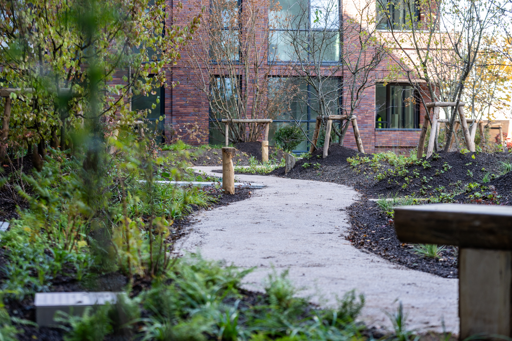 Natuurinclusieve buitenruimte met slingerend pad en beplanting in Weverstede Nieuwegein, gericht op biodiversiteit en klimaatbestendig ontwerp