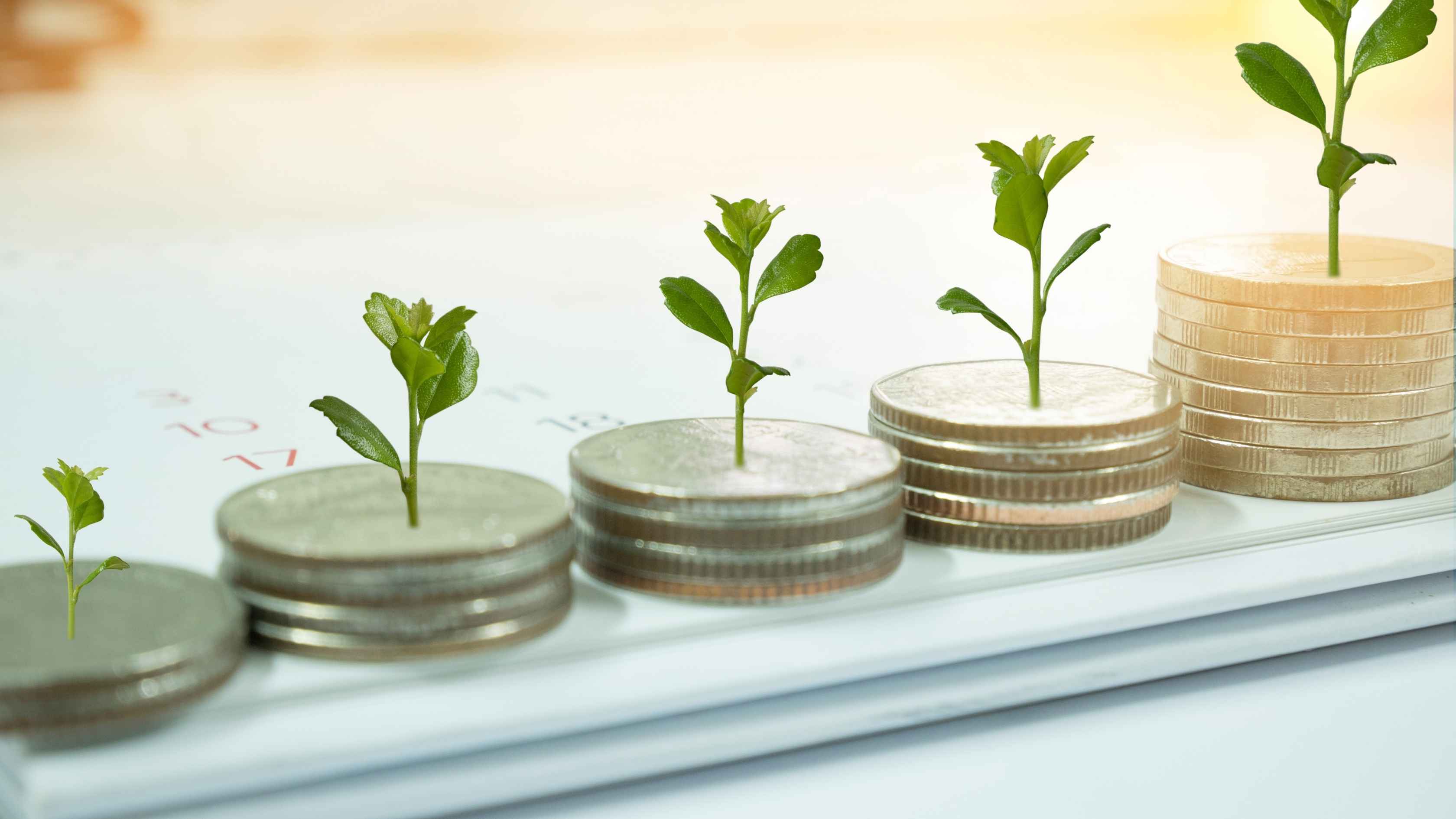 UK Startup Funding: A Guide to SEIS and EIS Schemes
