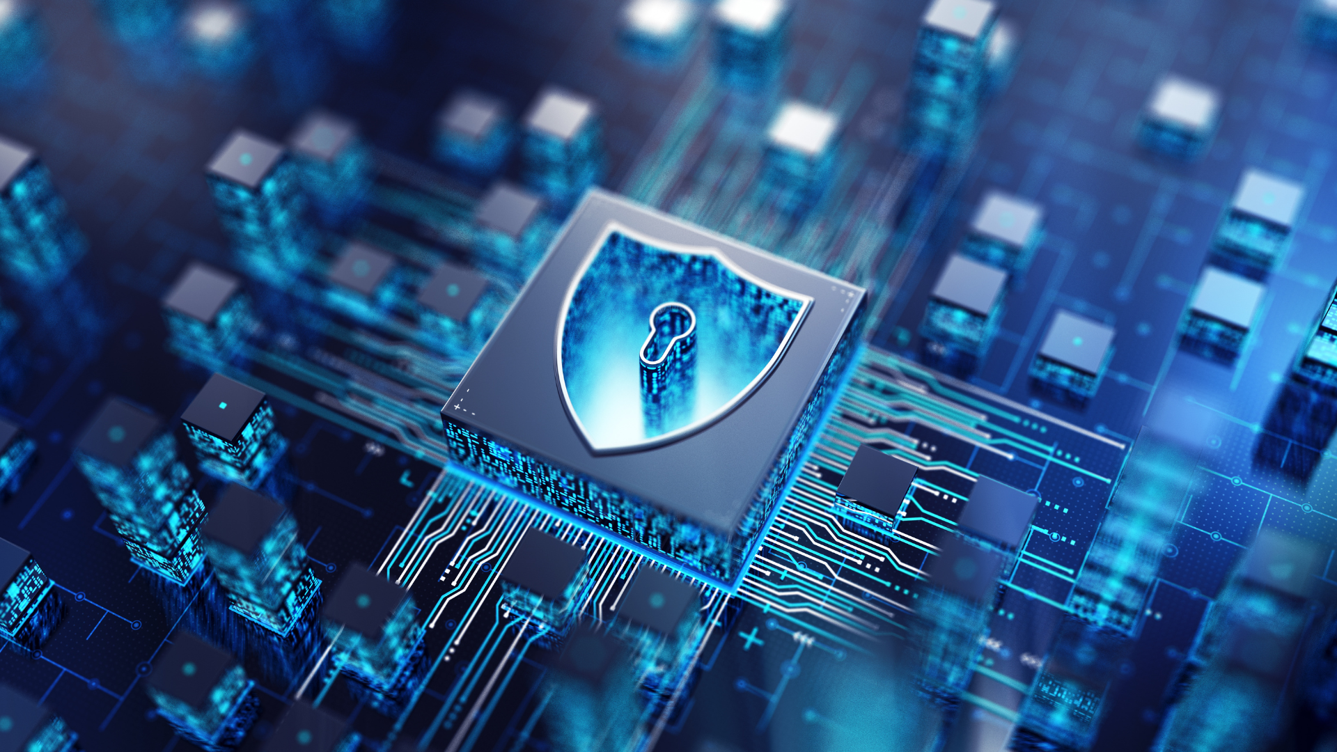 Why Do You Need a Cybersecurity Lawyer?