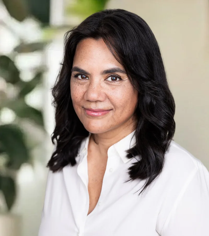 Li Reilly, Partner | Americas, Biztech Lawyers