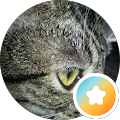 William Carlisle profile photo