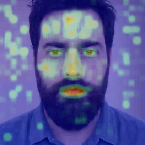 Phocus heatmap