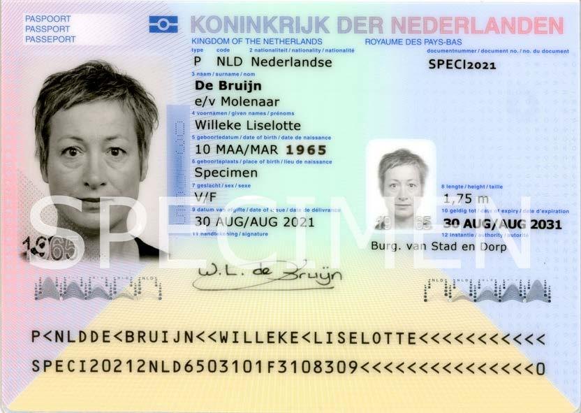 Synthetic Netherlands passport specimen from a dataset pack