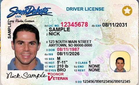 Synthetic South Dakota driving licence, September 2026 layout