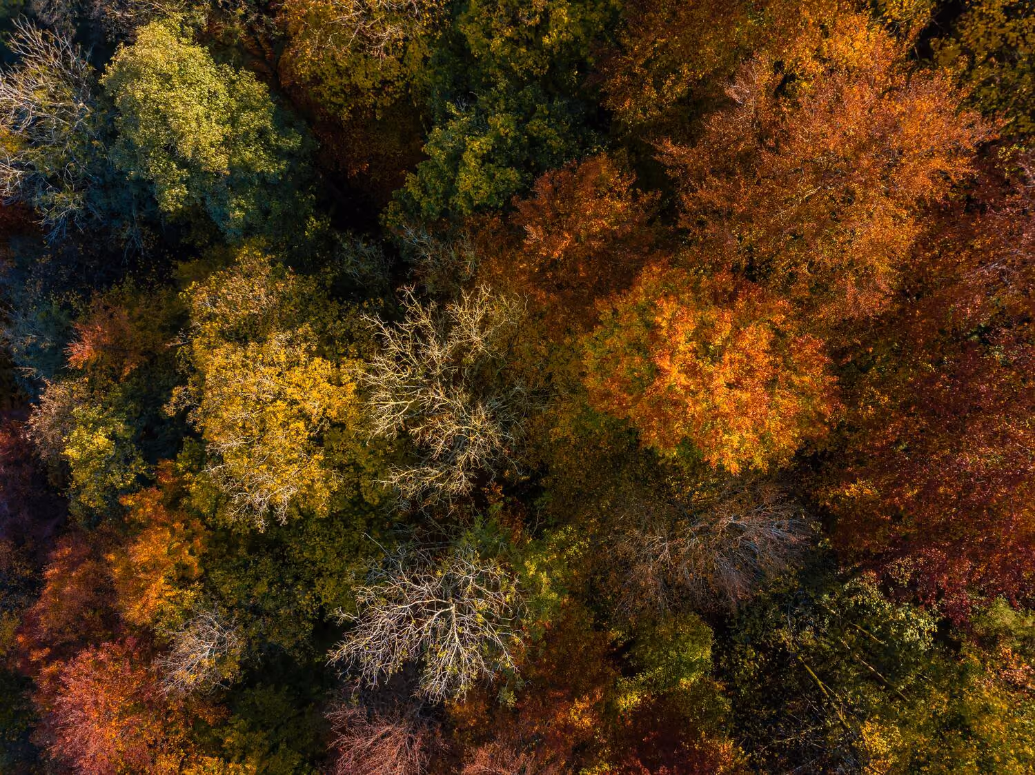 Pourquoi l'Automne est la saison parfaite pour un séjour en montagne ?