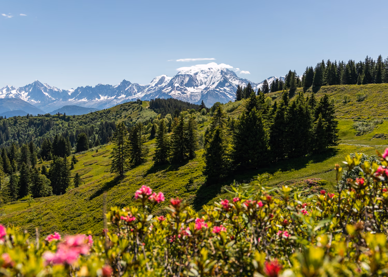 Le printemps arrive : c’est la saison des randonnées !