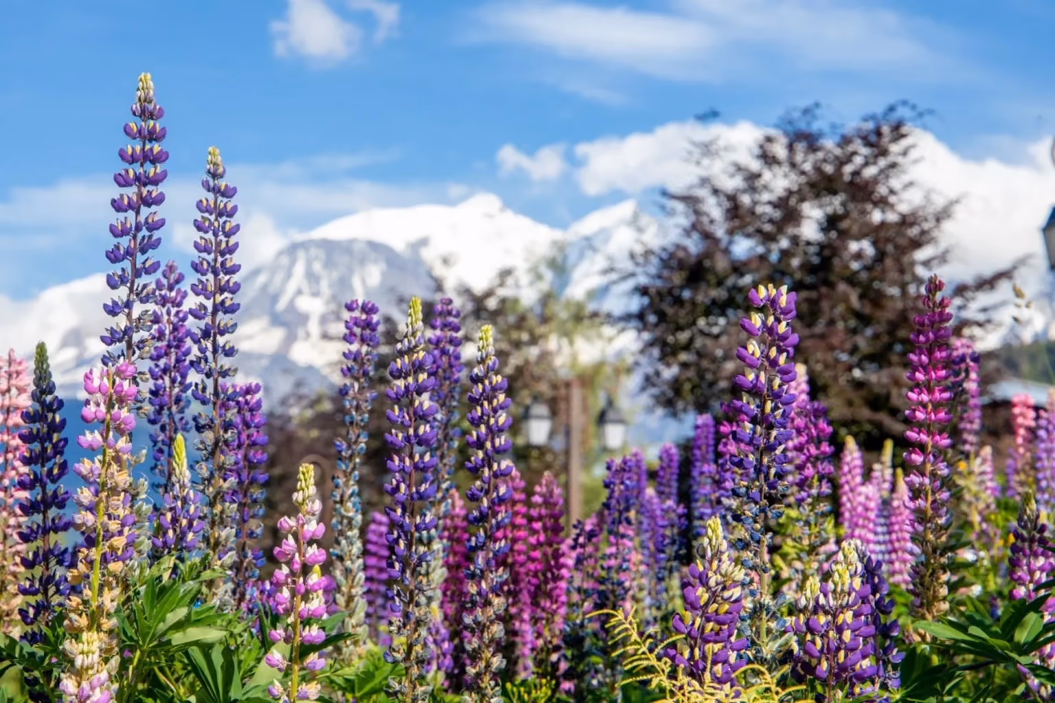 Vacances de Pâques à la montagne : pourquoi choisir Megève et ses environs ?