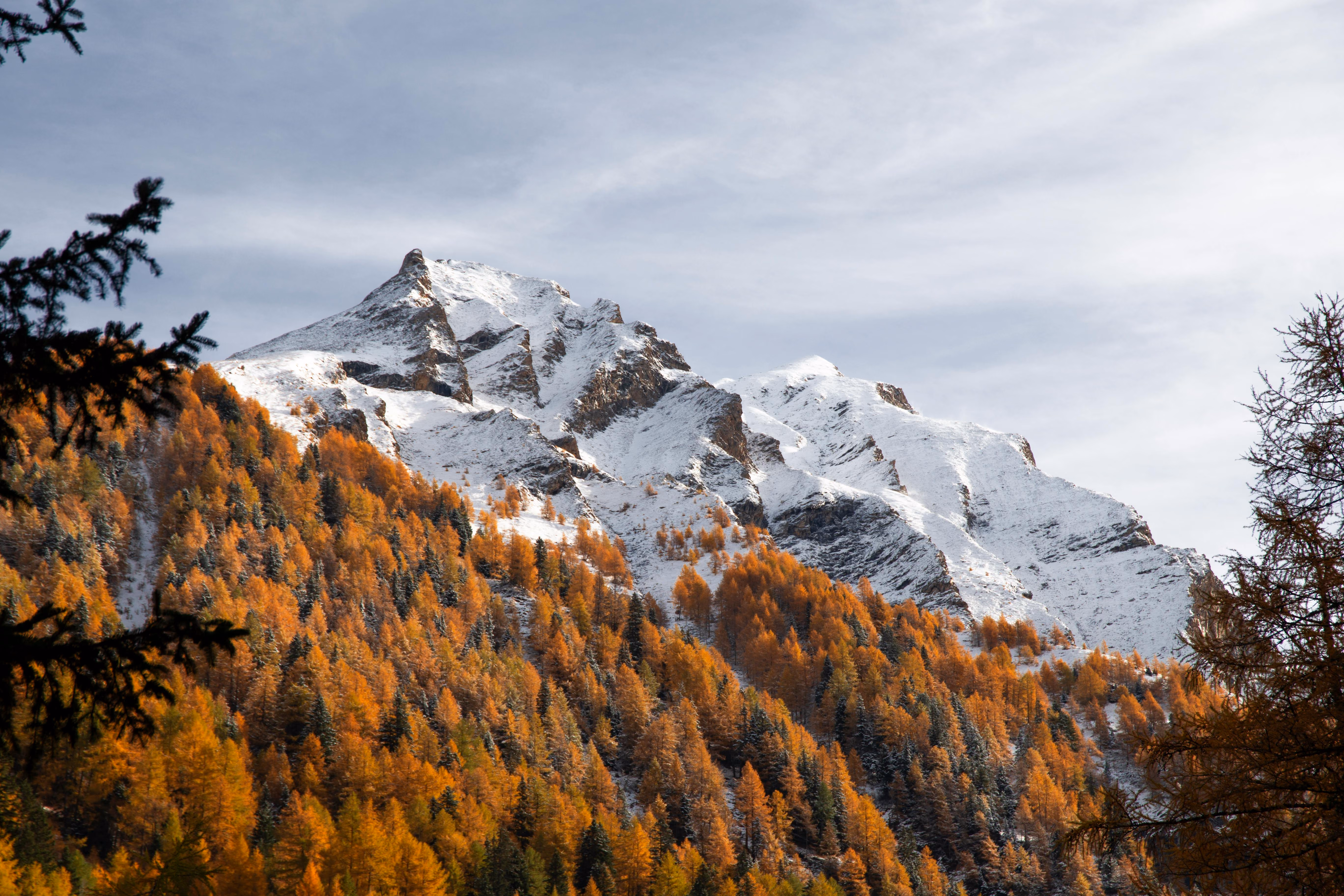 Où louer un chalet pour les vacances de la Toussaint ? 