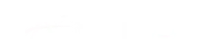 acertus logo
