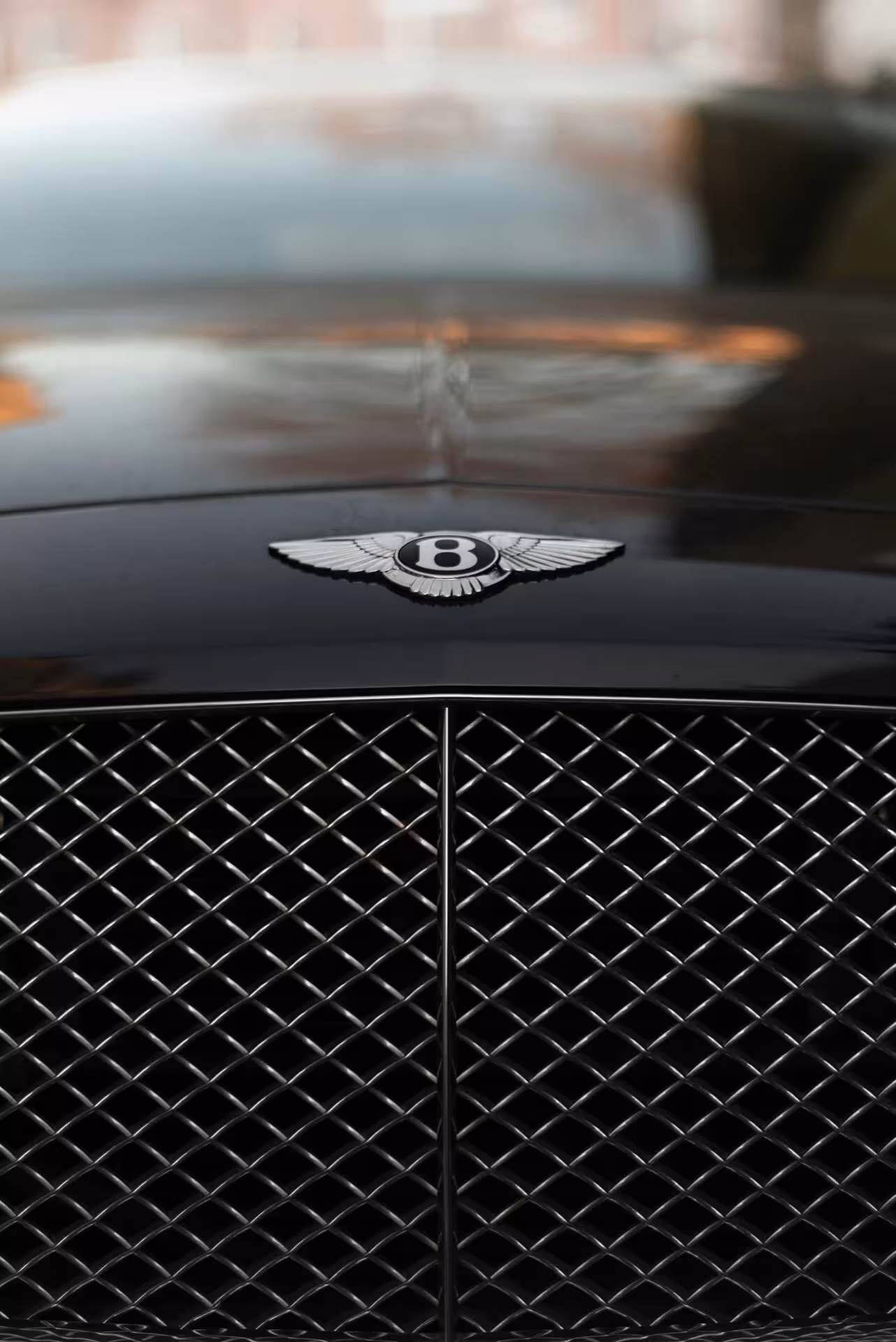 Logo Bentley chromé sur capot de continental