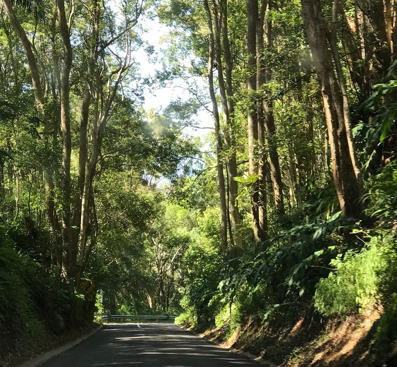 Scenic road to Maleny near Montville and Karma Suites
