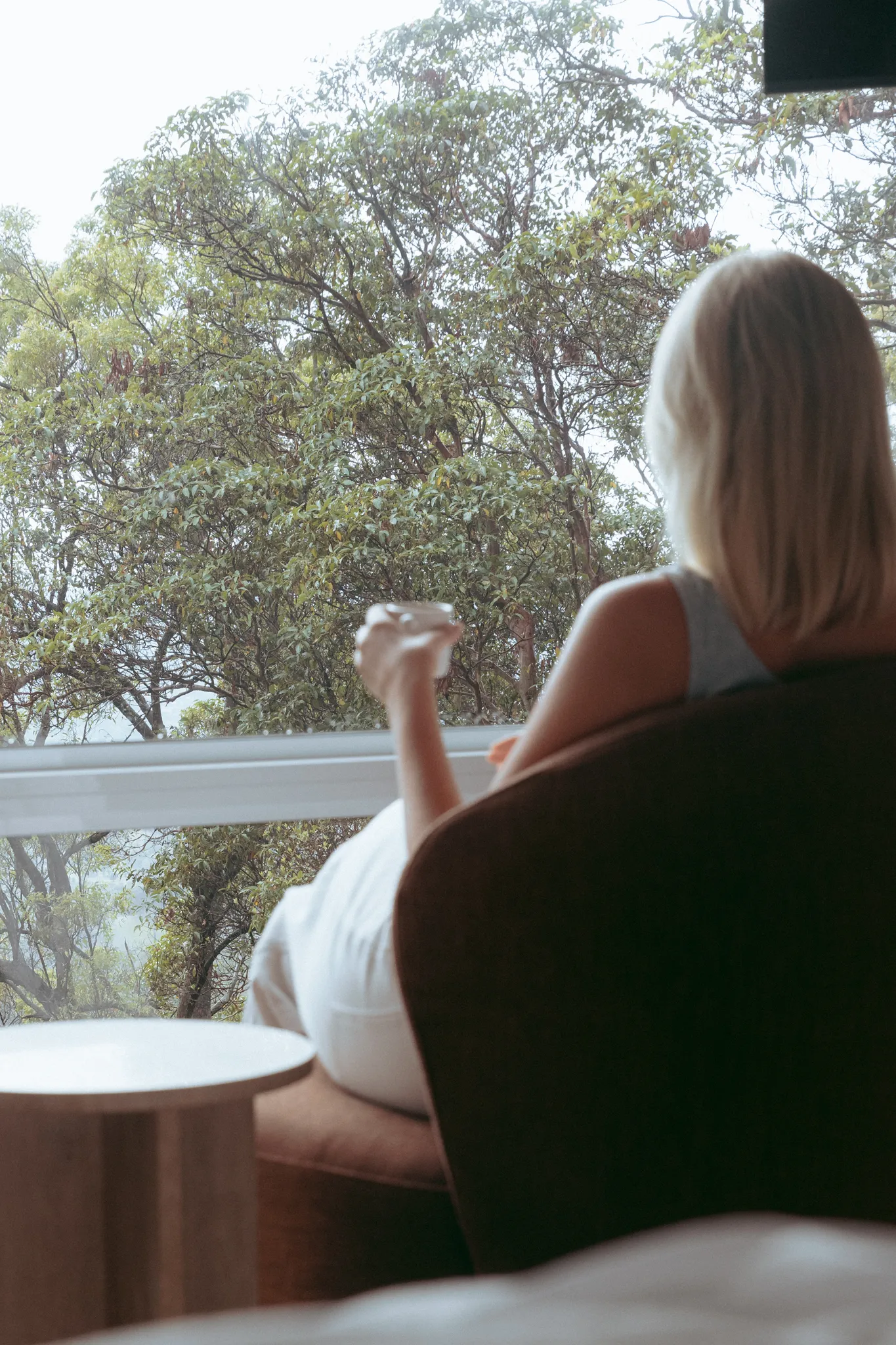 Sunshine Coast Hinterland view near Karma Suites Montville