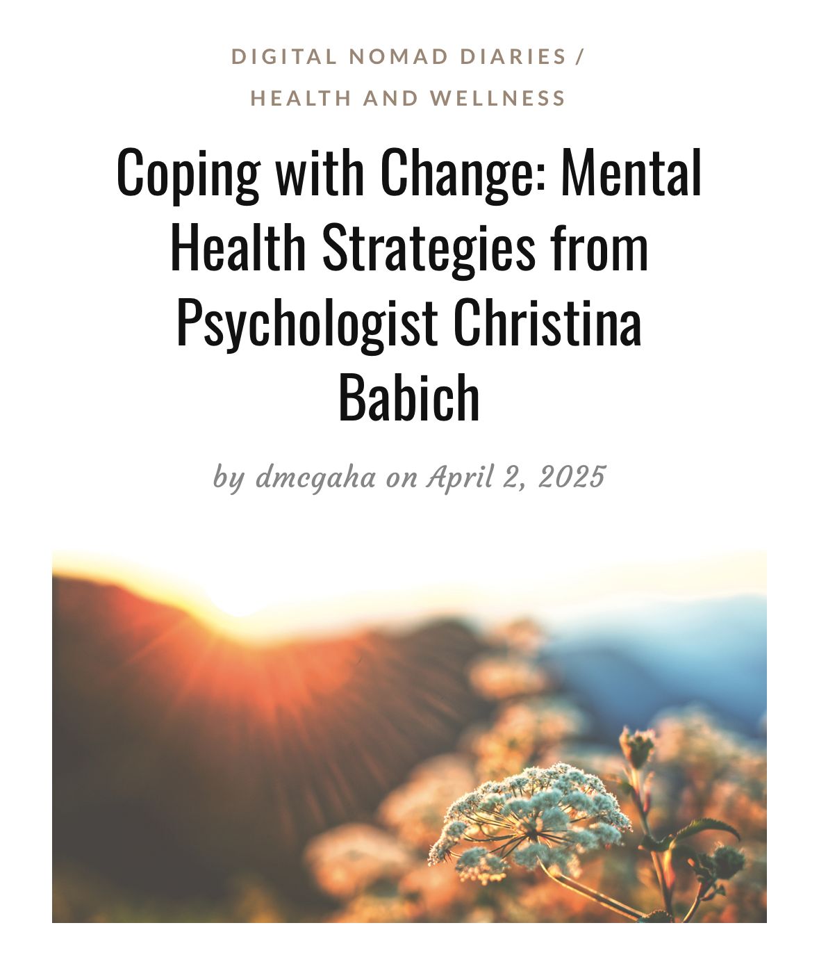 Soft-focus image of wildflowers in sunlight, symbolizing coping with change and mental health during life transitions.