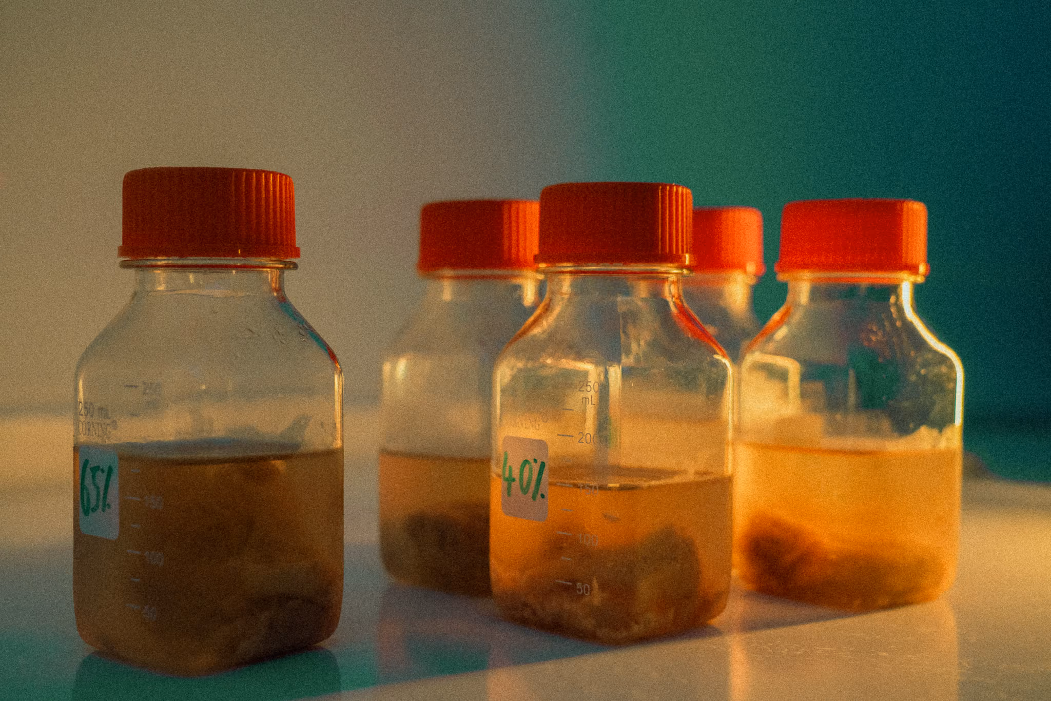 Research on late cases and ischemic time