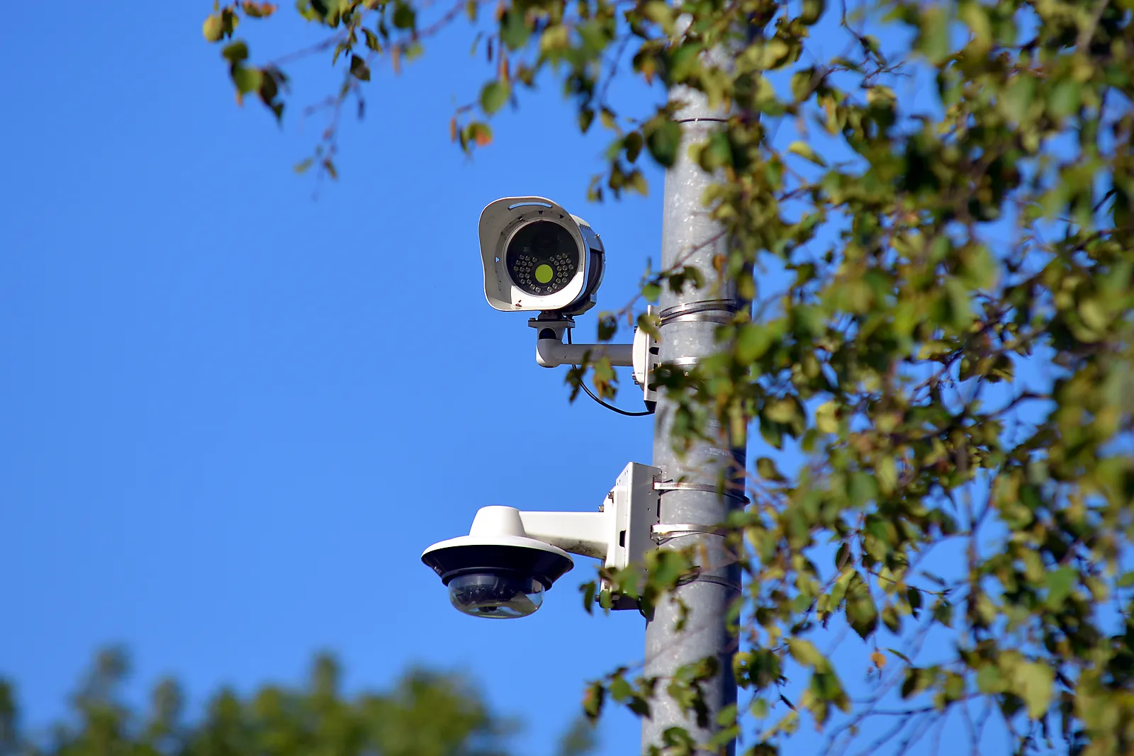 A dedicated ANPR camera with its own infrared lamps and, below it, a multi-lens overview camera, both mounted on a pole beside trees.