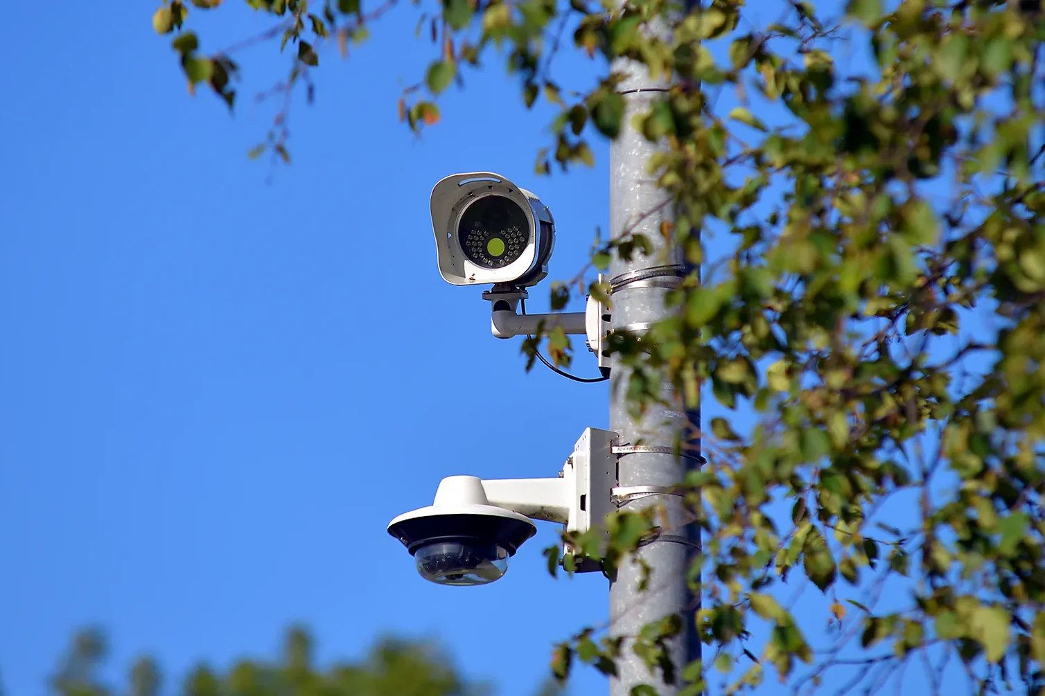 A dedicated ANPR camera with its own infrared lamps and, below it, a multi-lens overview camera, both mounted on a pole beside trees.