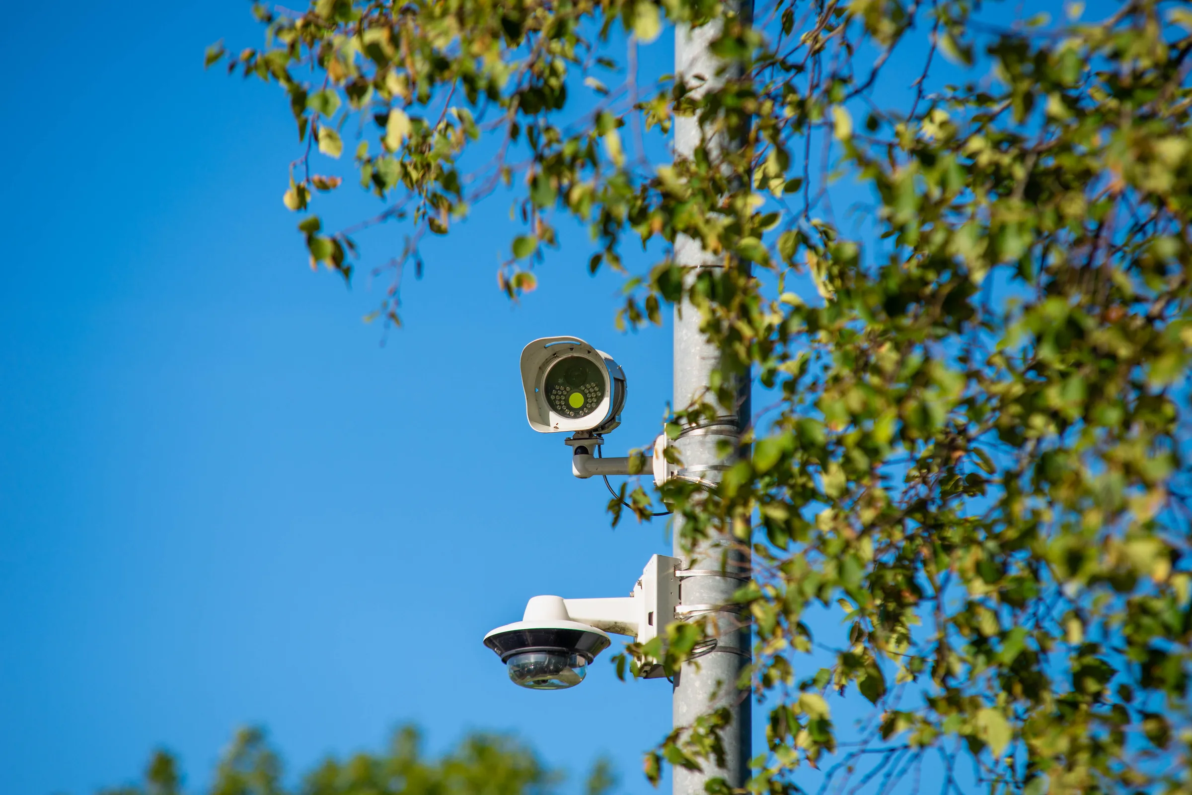 A dedicated ANPR camera with its own infrared lamps and, below it, a multi-lens overview camera, both mounted on a pole beside trees.