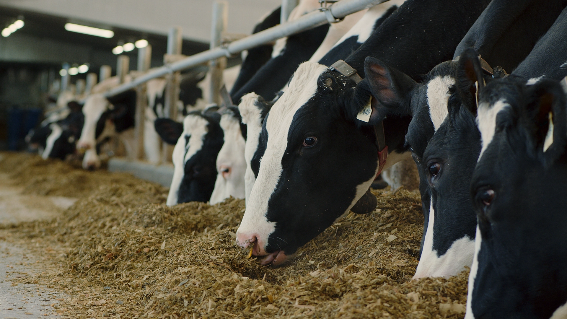 Ton histoire : ta clé pour te sortir de la guerre du prix