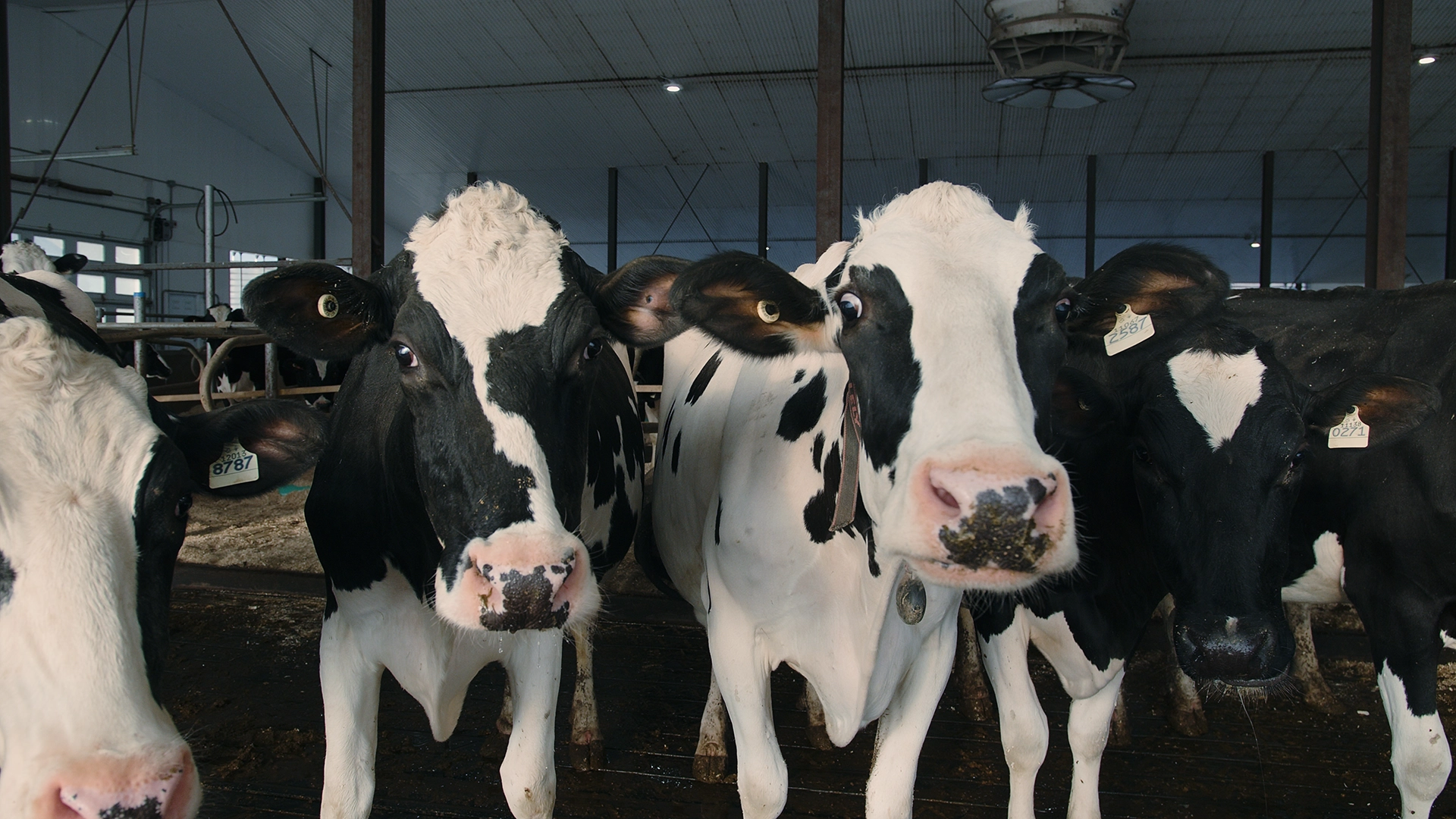 Ton histoire : ta clé pour te sortir de la guerre du prix