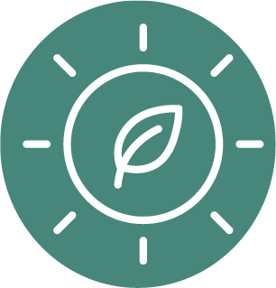 Icône d'une feuille blanche au centre d'un cercle avec des rayons, symbolisant l'énergie verte.