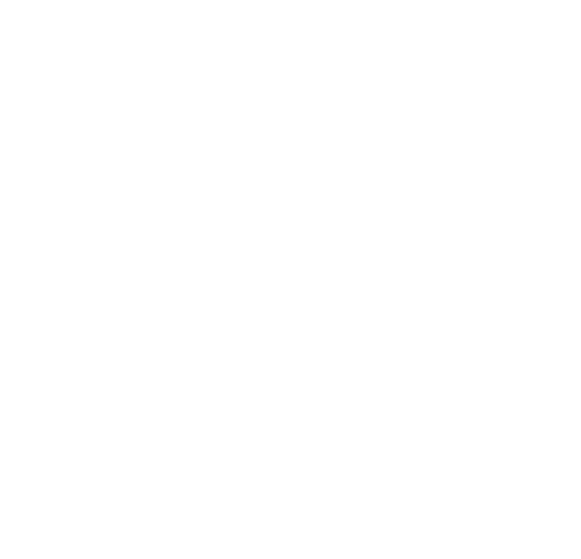 nope logo