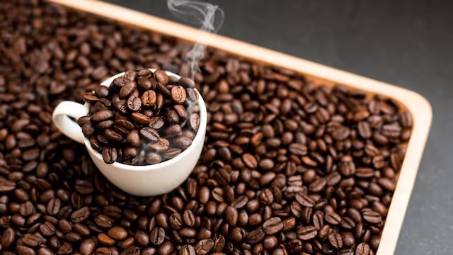 Exploring Caffeine Addiction