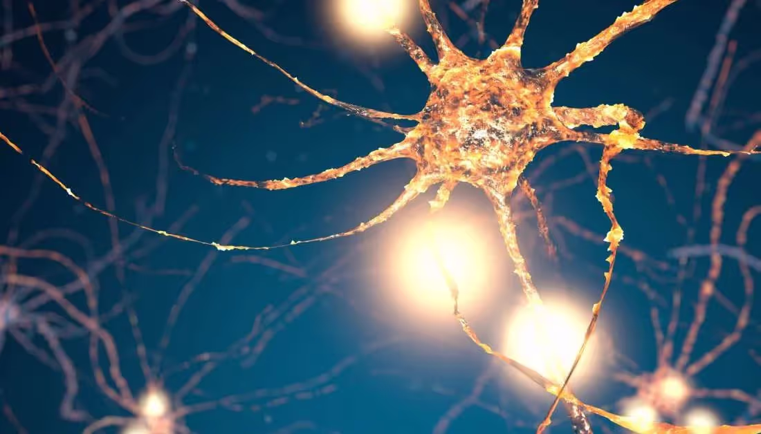 Which Drugs Kill Brain Cells