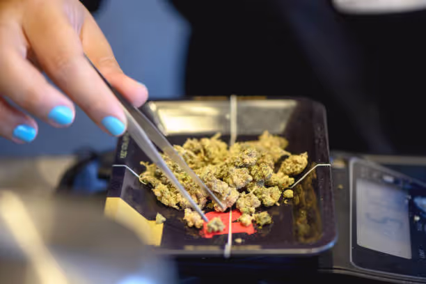 What Does the Term "Gateway Drug" Mean?