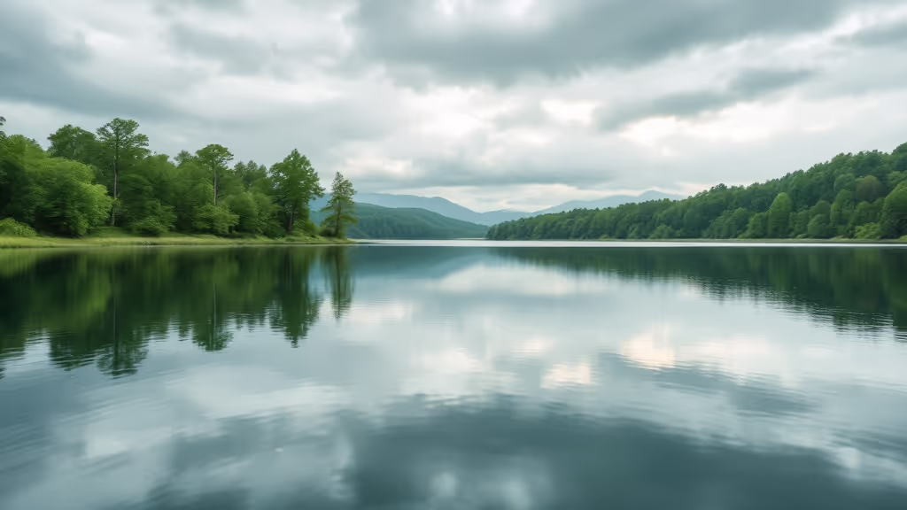 The Impact of Mental Health on Overall Wellness